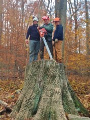 Photo Nov 13, 7 34 46 AM