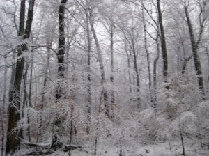 Photo Dec 05, 5 05 27 AM