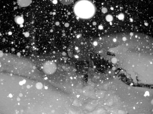 Photo Feb 05, 12 10 28 PM